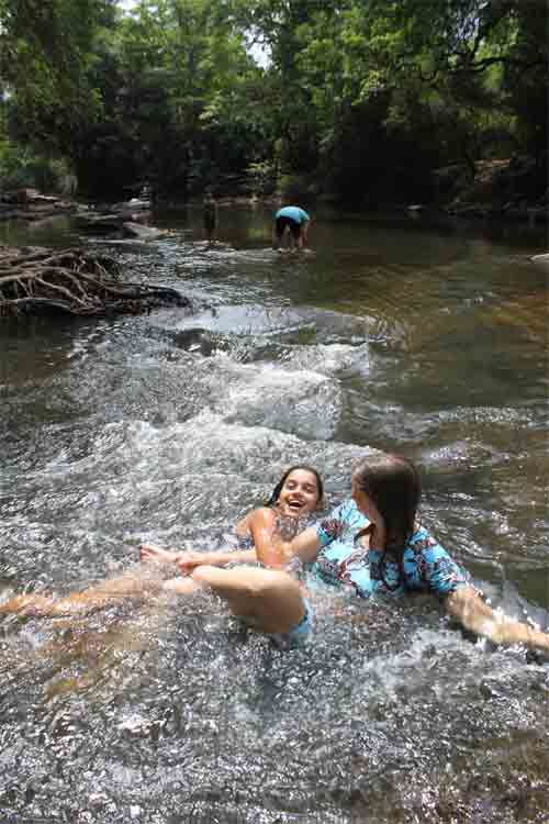 Nidikumba, Hotels, River National Park