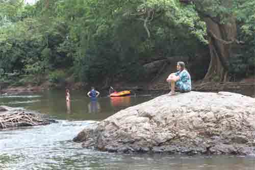 Nidikumba, Hotels, River National Park